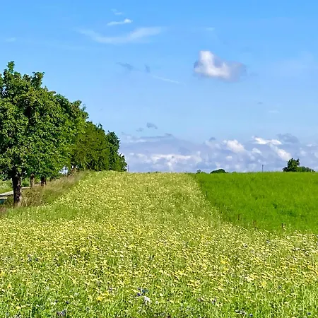 Апартаменты Zur Biberburg