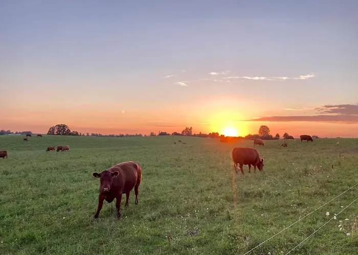 Zur Biberburg 아파트 Friedrichswalde